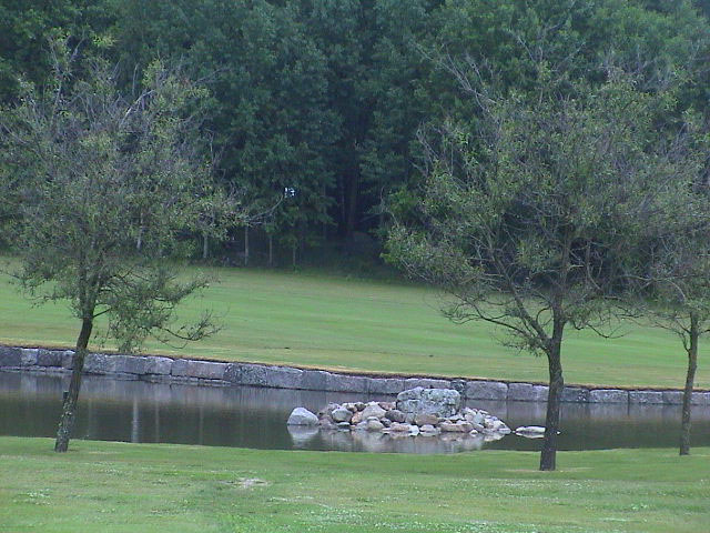 DSC00324