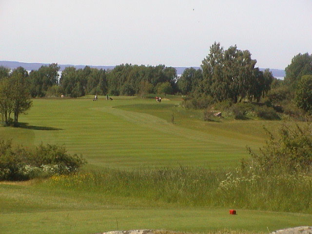 DSC00483