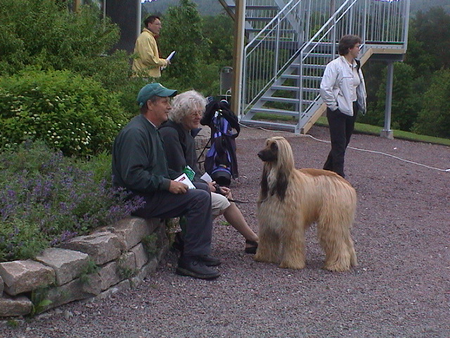 DSC00135