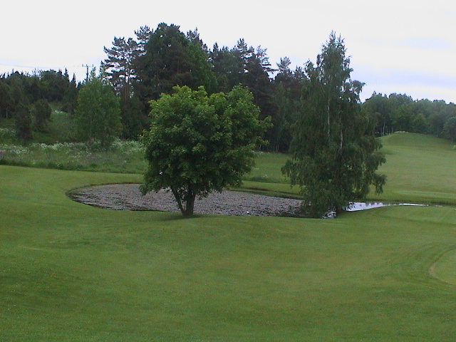 DSC00125